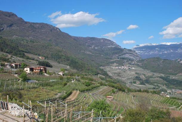 Hotel Agritur Le Pergole Villa Lagarina Exterior foto