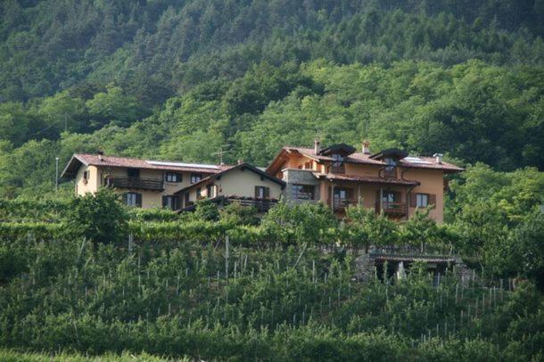 Hotel Agritur Le Pergole Villa Lagarina Exterior foto